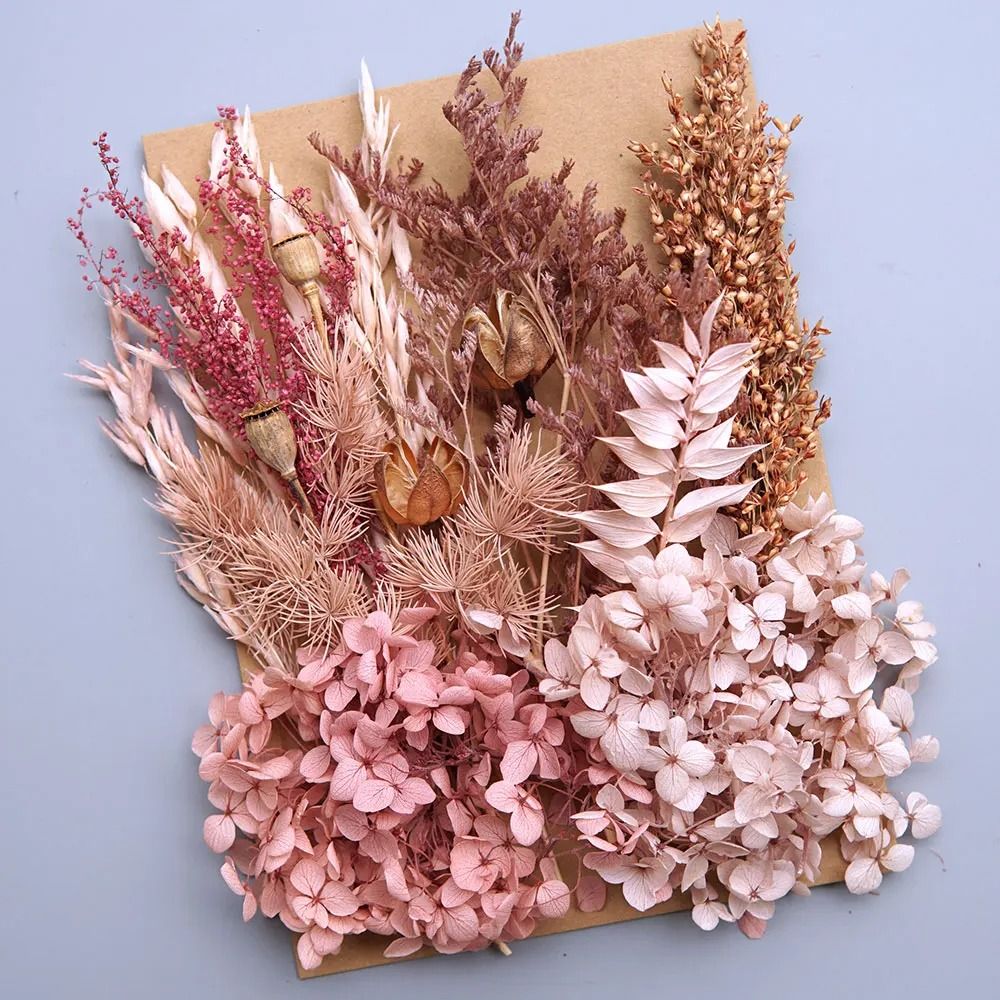 Botanical Narrative Elements HighDefinition Preserved Floral Materials 8
