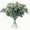 Arboreal Narrative Stems HighDefinition Eucalyptus Architectural Ornament 9