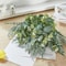 Arboreal Narrative Stems HighDefinition Eucalyptus Architectural Ornament 1