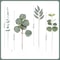 Arboreal Narrative Stems HighDefinition Eucalyptus Architectural Ornament 2