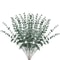 Arboreal Narrative Stems HighDefinition Eucalyptus Architectural Ornament 7