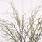 Arboreal Narrative Sculpture HighDefinition Willow Architectural Ornament 4