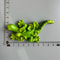Traveler Narrative Sculpture HighDefinition Tenerife Architectural Magnet 11