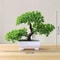 Botanical Narrative Sculpture HighDefinition Bonsai Architectural Ornament 19