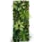 Botanical Narrative Sculpture HighDefinition Chlorophytum Architectural Panel 5