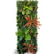 Botanical Narrative Sculpture HighDefinition Chlorophytum Architectural Panel 6