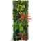 Botanical Narrative Sculpture HighDefinition Chlorophytum Architectural Panel 16