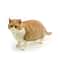 Feline Narrative Sculpture HighDefinition Lying Orange Cat Architectural Ornament 10