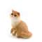 Feline Narrative Sculpture HighDefinition Lying Orange Cat Architectural Ornament 17