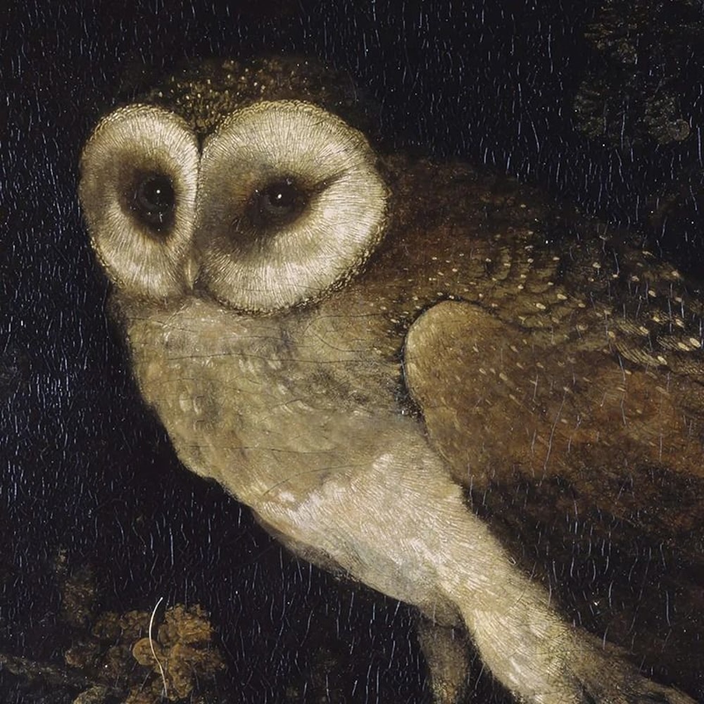 Vintage Moody Owl Painting Dark Academia Cottagecore Nature Prints Witchy Wall Art With Butterfli 1