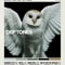 Deftones Album Cover Canvas Art Around The Fur Saturday Night Wrist Band Poster Music Decor 6