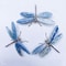 Natural Kyanite Crystal Dragonfly Handmade Polished Figurine Healing Gemstone Decor Childrens Gi 4