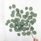 Artificial Eucalyptus Leaf Vine Faux Greenery Garland For Wedding Arch Home Garden Christmas Deco 6