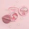 Natural Oil Control Loose Powder Matte Waterproof Setting Powder With Soft Puff Professional Faci 6