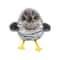 Vibrating ClawActivated Plush Cat Toy Rechargeable Flapping Motion Teaser HighYield Indoor Huntin 9