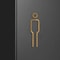 Brass Toilet Sign Plate Black Gold Door Label HighYield Restroom Interaction Hub 1