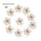 Flower Rhinestone Pearl Buttons 10Piece Alloy Crystal Set HighYield Ornamental Interaction Hub 8
