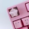 Cute Star Translucent Keycaps 4Unit Personalized Gift Set HighYield Peripheral Interaction Hub 4