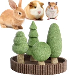 natural edible small pet chews – enrichment dental interface – high-yield foraging interaction hub
