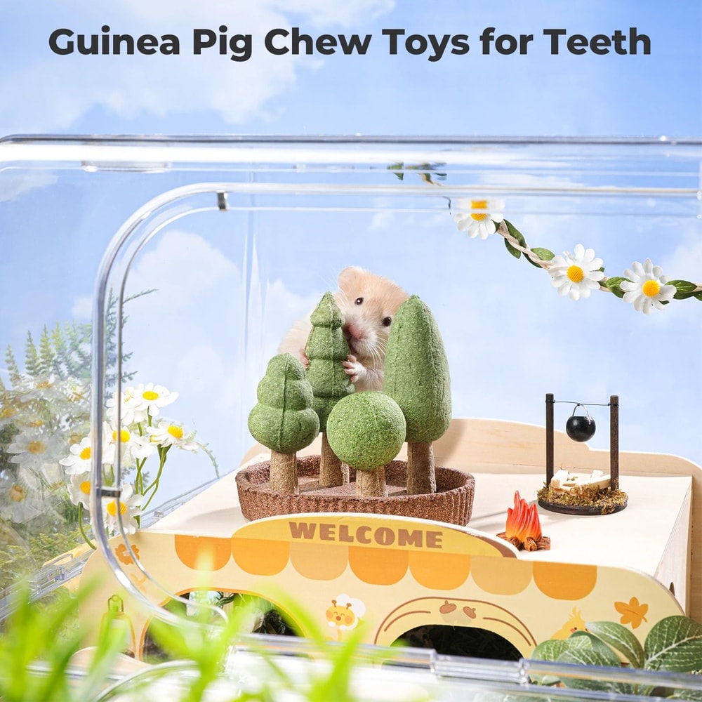 Natural Edible Small Pet Chews Enrichment Dental Interface HighYield Foraging Interaction Hub 2