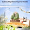 Natural Edible Small Pet Chews Enrichment Dental Interface HighYield Foraging Interaction Hub 2