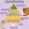 Natural Edible Small Pet Chews Enrichment Dental Interface HighYield Foraging Interaction Hub 3