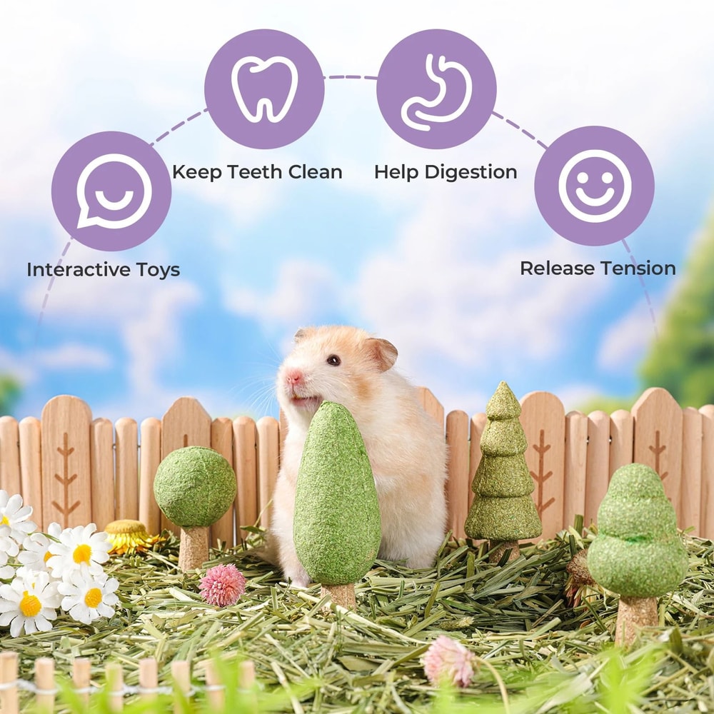 Natural Edible Small Pet Chews Enrichment Dental Interface HighYield Foraging Interaction Hub 4