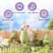 Natural Edible Small Pet Chews Enrichment Dental Interface HighYield Foraging Interaction Hub 4