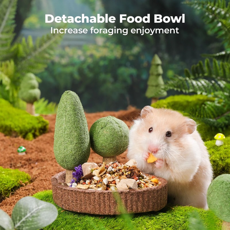 Natural Edible Small Pet Chews Enrichment Dental Interface HighYield Foraging Interaction Hub 5