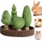 Natural Edible Small Pet Chews Enrichment Dental Interface HighYield Foraging Interaction Hub 6