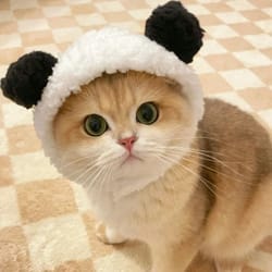 adorable lion mane pet transformation cap