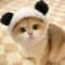 Adorable Lion Mane Pet Transformation Cap 10