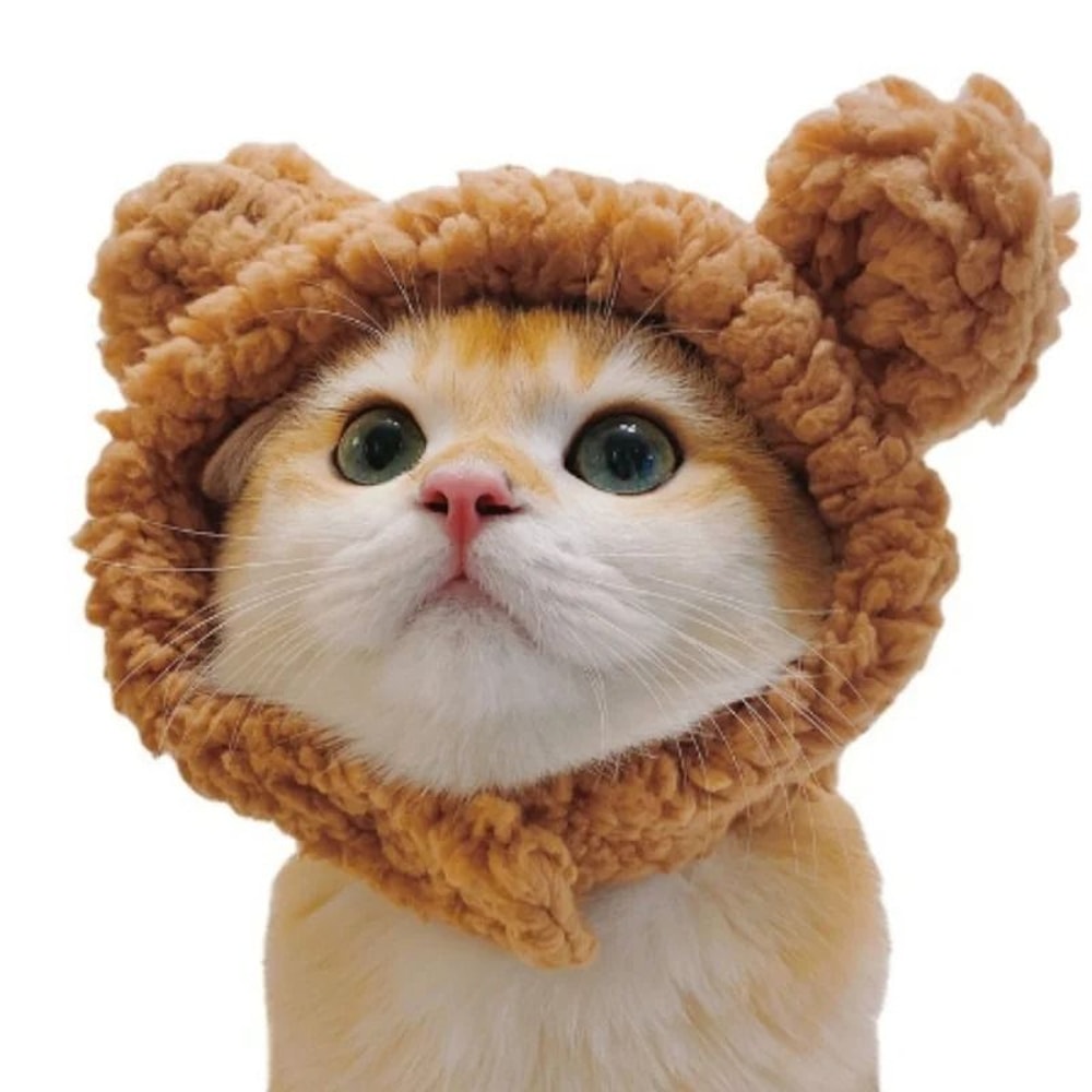 Adorable Lion Mane Pet Transformation Cap 2