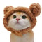 Adorable Lion Mane Pet Transformation Cap 2