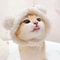Adorable Lion Mane Pet Transformation Cap 3