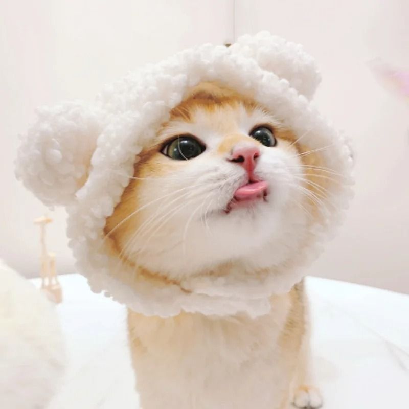 Adorable Lion Mane Pet Transformation Cap 3
