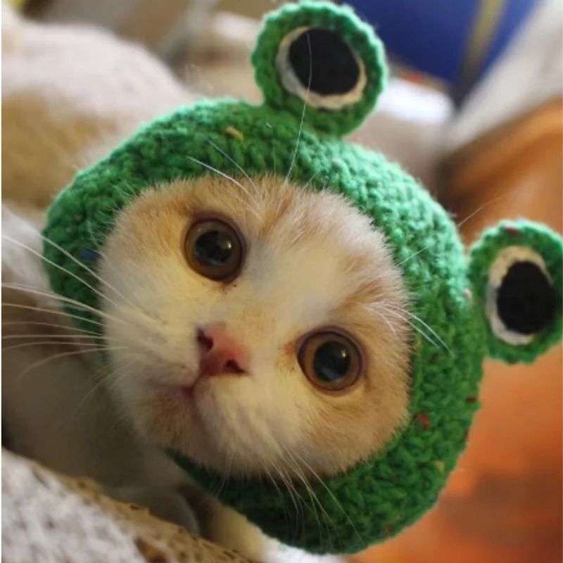 Adorable Lion Mane Pet Transformation Cap 5