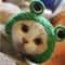 Adorable Lion Mane Pet Transformation Cap 8