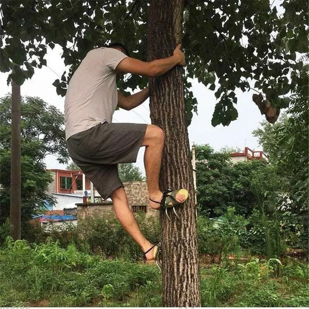 Outdoor Steel Tree Climbing Spikes 1