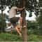 Outdoor Steel Tree Climbing Spikes 1