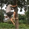 Outdoor Steel Tree Climbing Spikes 1