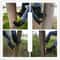 Outdoor Steel Tree Climbing Spikes 4