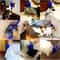 SelfGrooming Cat Scratcher Massager 2