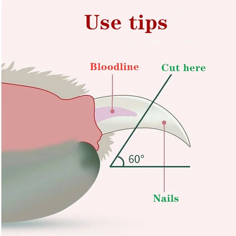 LEDIlluminated Pet Nail Clipper 3