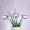 BirdStyle Automatic Plant Water Dispenser 0