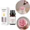 Natural Plant Fruit Essential Oil 10 Ml 2