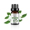 Natural Plant Fruit Essential Oil 10 Ml 10