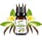 Natural Plant Fruit Essential Oil 10 Ml 15