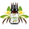 Natural Plant Fruit Essential Oil 10 Ml 15