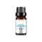 Natural Plant Fruit Essential Oil 10 Ml 17